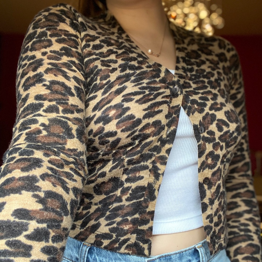 Cheatah print cropped sweater